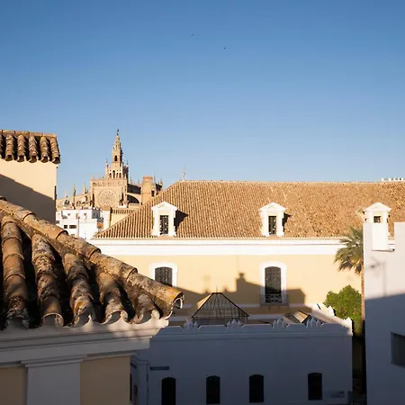 Petite California Dos De Mayo * Seville