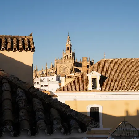 Petite California Dos De Mayo Siviglia